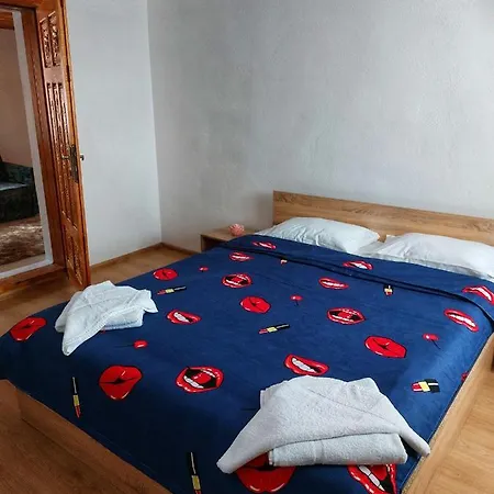 Apartment Casa De Vacanta Danube