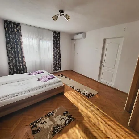 Casa De Vacanta Danube Apartment